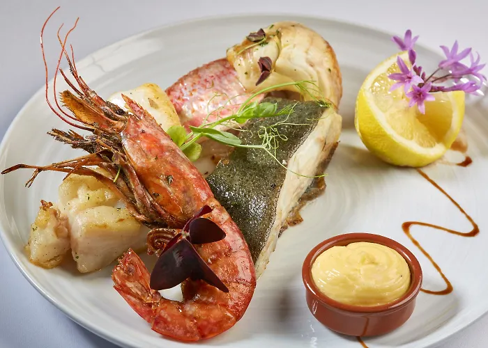 Duflot & 4* Perpignan